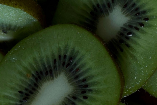 Gut Health: Why It Matters and How to Support It