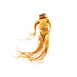 Ginseng Extract