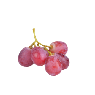 Grape Seed Extract