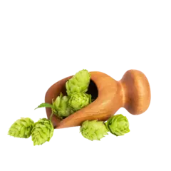 Hops Extract