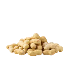 L-glycine