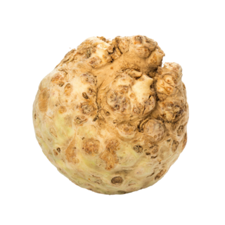 Maca Root Extract