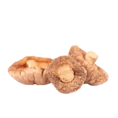 Shiitake